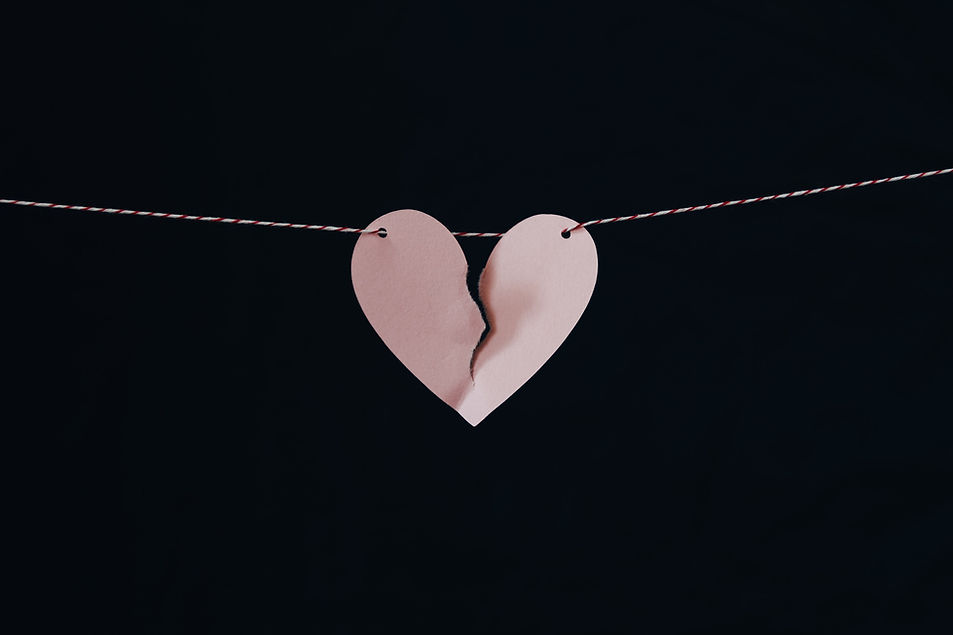 Image by Kelly Sikkema