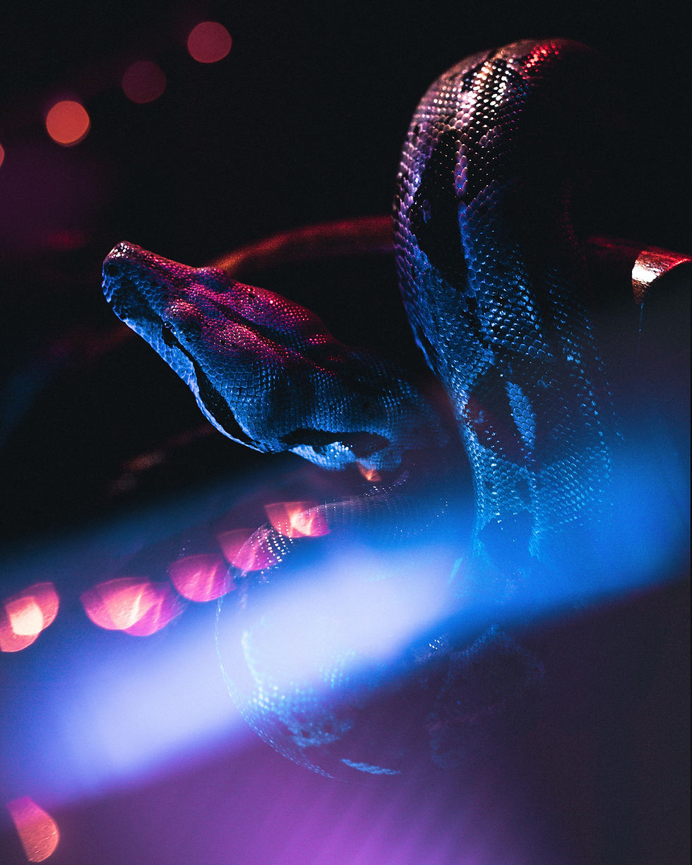 serpent