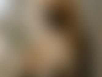 Reactive Dog Austin