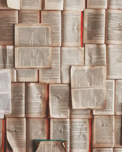 La perfilación en la literatura