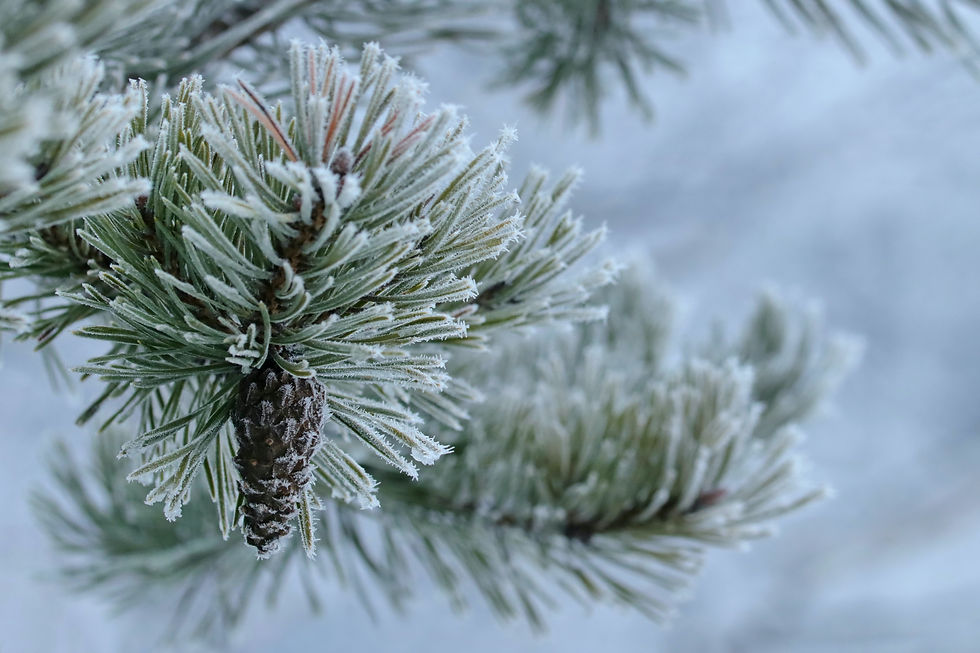 where to travel in december