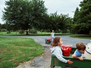 Van sprookje tot dossier: wie beschermt de mens in Herselt?