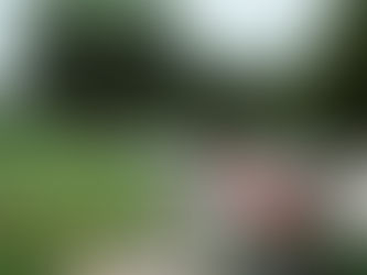 Van sprookje tot dossier: wie beschermt de mens in Herselt?