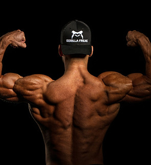 Image by Gorilla Freak