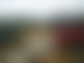 Lançamento de resíduos sólidos em vala