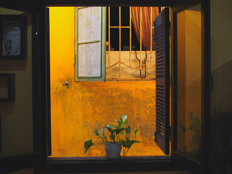 Image by Olga Mikhel