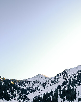 Image by Dmitry Sumskoy