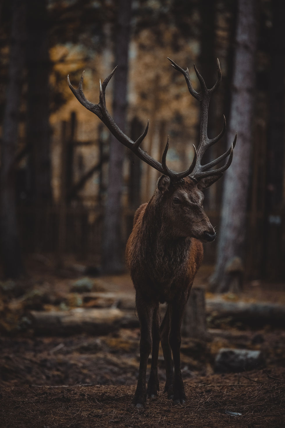 Image de Andy Holmes