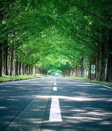 Image by Natural Photos