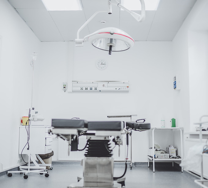 Image by Arseny Togulev