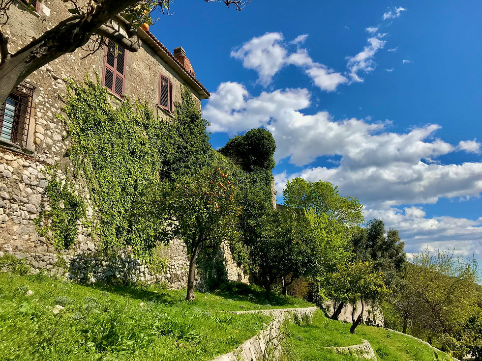 pasquetta latina