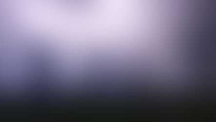 שאלות ותמיהות בעניין דרך האמת