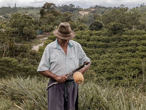 Travel Guide to Colombia