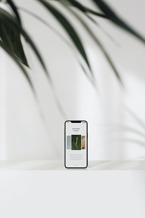 Image by Sarah Dorweiler