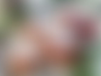 Sweet Freedom: Tips for Reducing Sugar Intake