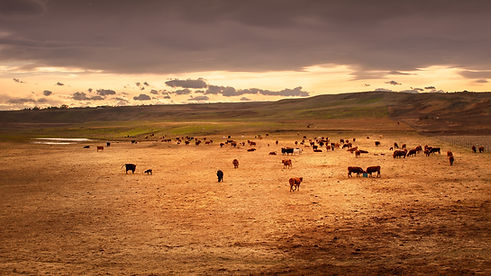 Image by Ric Matkowski