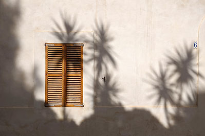 Image de Kadir Celep