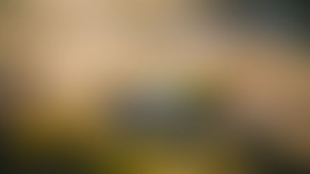 How to minimise land tax