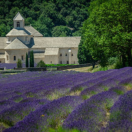 Provence France Château in a Lavendar Field.