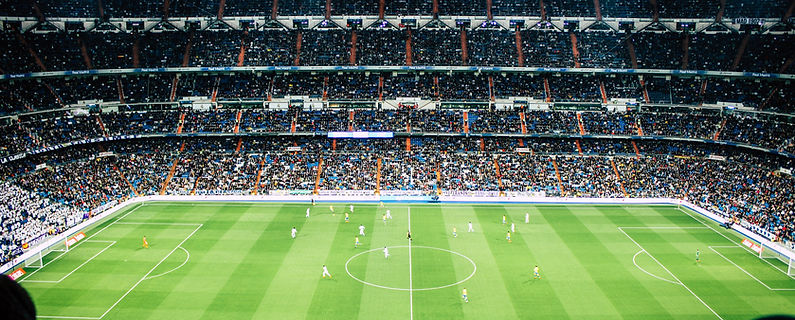 Image by Vienna Reyes