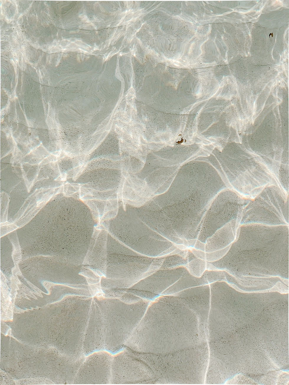 Image by Hans Isaacson