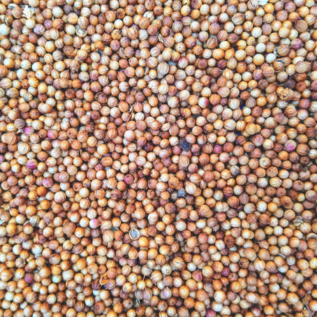 Frightened Farming: Being Brave Enough to Sow the Seeds of the Kingdom 