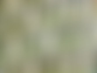 信托不在加州成立,也要交加州的税?