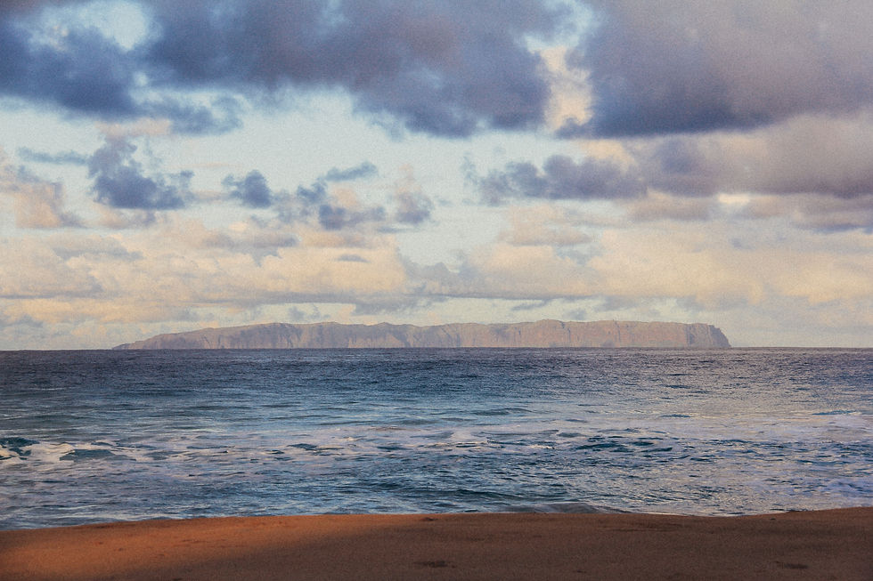 Image by Studio Kealaula