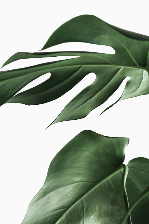 Image by NordWood Themes