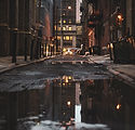 Image by Dyana Wing So