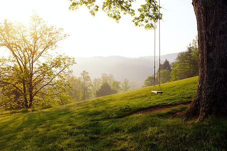 Image by Ryan Parker of grassy hill with a large tree. A lone tree swing hangs from the tree.
