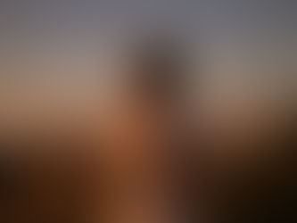 A man in a wheat field looking up to the heavens