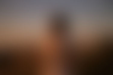 A man in a wheat field looking up to the heavens