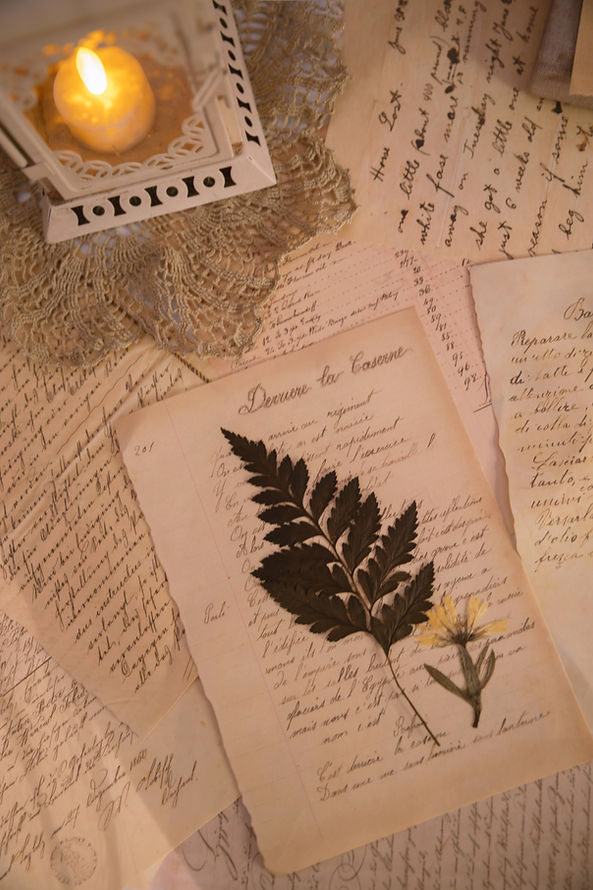 Image by Mrika Selimi