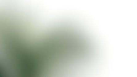 "Hallelujah, Anyhow" (Audio)