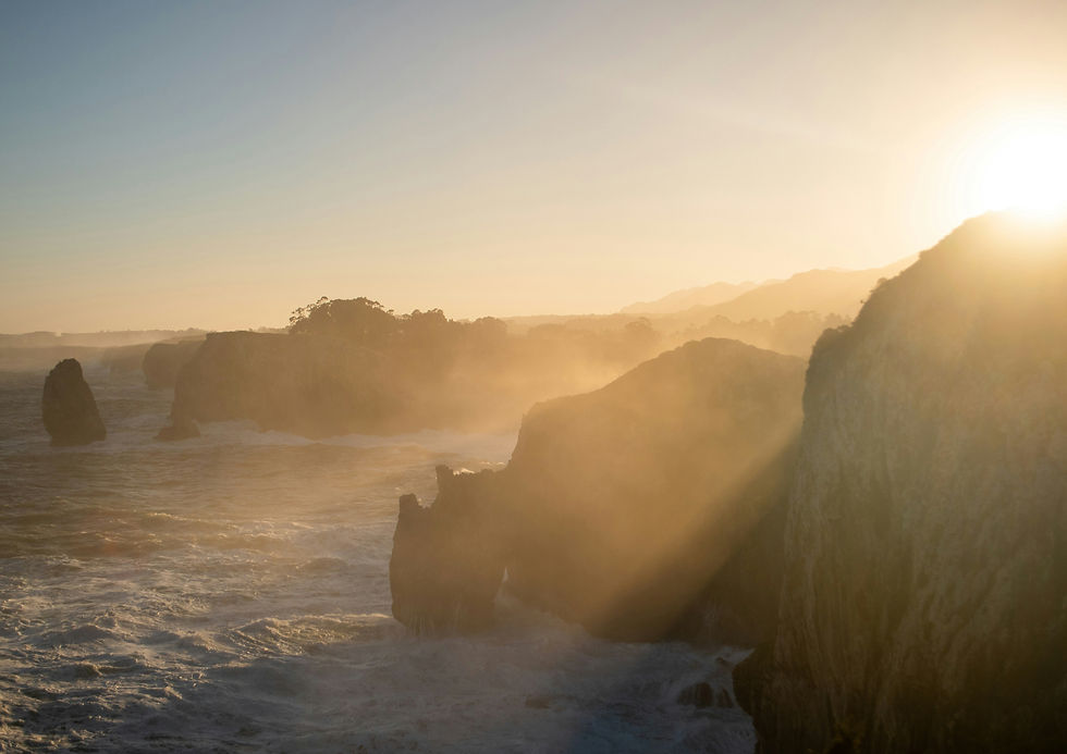 Image by Agota Balnione