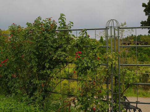 21 Brilliant Ways to Repurpose PVC Pipes