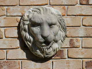 From Admin Chore to Team Superpower: How Competency Frameworks Can Boost Your Small Business