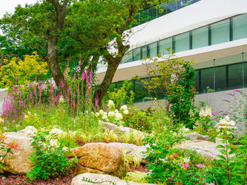 Image by Chaewon Lee