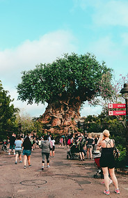 Image by Kyle DeSantis