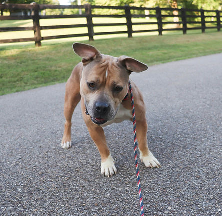 Image by Laura Roberts