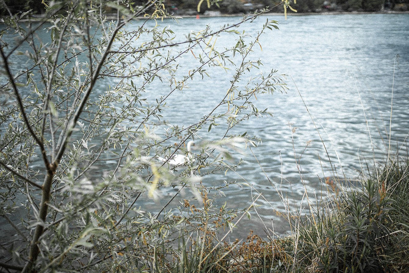 Image by Corina Rainer