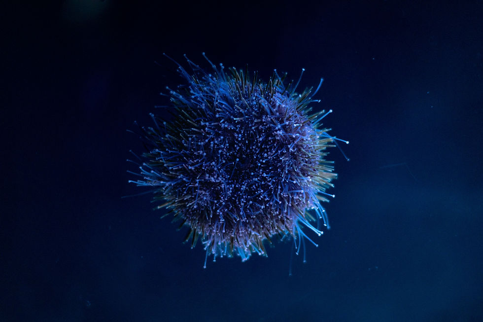 agentic ai strategy illustration