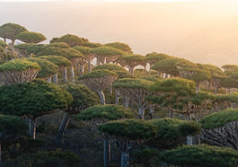 Image by Andrew Svk