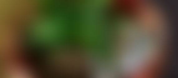 A calico kitten lying in a potten plant.