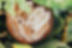 close-up image of crystals