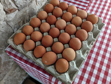 Farm Fresh Eggs: Healthier, Tastier, Local benefits of farm fresh eggs