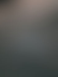 Love does not make the world go round. Love is what makes the ride worthwhile. 