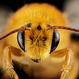 Image by USGS