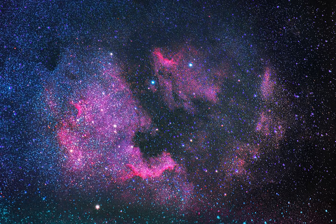 Image by Dario Brönnimann